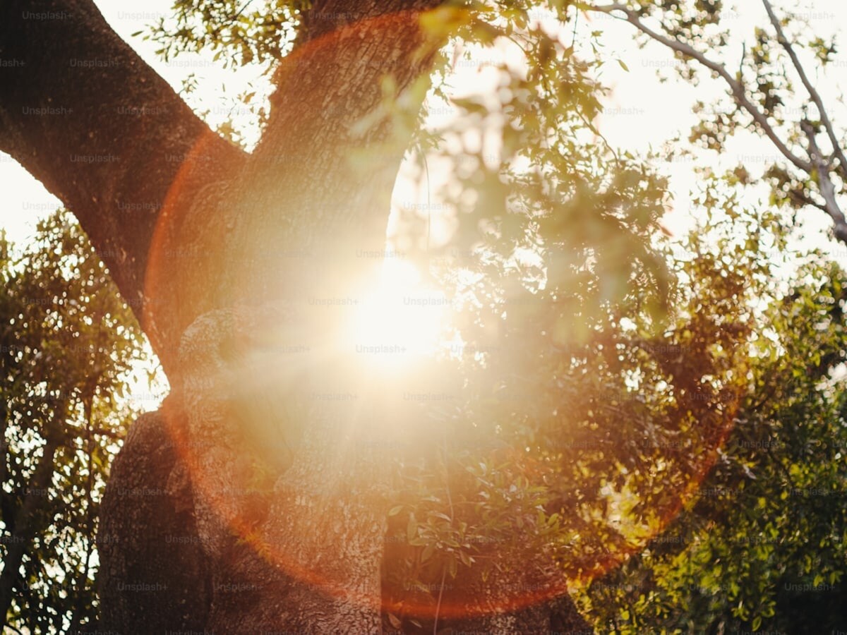 Your Spotsylvania Courthouse weather forecast for Monday, Mar 2 - Friday, Mar 6