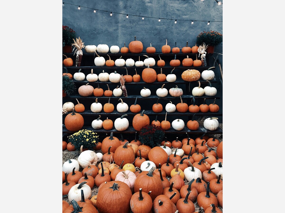 October Celebrations