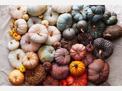 Your Spotsylvania Courthouse weather forecast for Saturday, Nov 8 - Wednesday, Nov 12