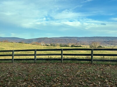 November Celebrations 