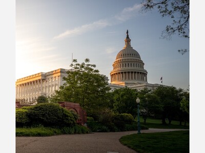 Trust as National Security: Why Ethical Governance Protects Us More Than Any Weapon 