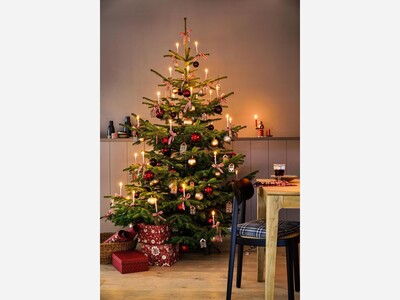 Support Holiday Events in Spotsylvania! Post them on Event Builder Today. 