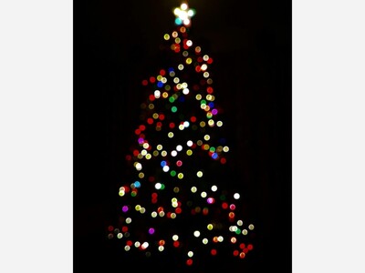 History of the Christmas Tree 