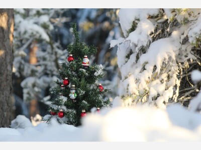 Your Spotsylvania Courthouse weather forecast for Monday, Dec 22 - Friday, Dec 26