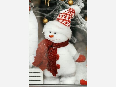 January Celebrations 