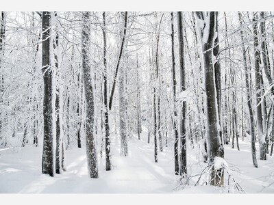 Winter Storm And Frigid Temperatures Coming To Spotsylvania This Weekend 