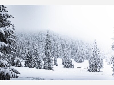 Things to do in and around Spotsylvania this week and next. 