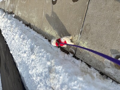 Your Spotsylvania Courthouse weather forecast for Tuesday, Feb 3 - Saturday, Feb 7