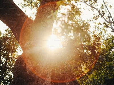 Your Spotsylvania Courthouse weather forecast for Monday, Mar 2 - Friday, Mar 6