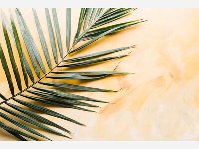 Christians in the Spotsylvania/Fredericksburg Area Celebrate Palm Sunday 