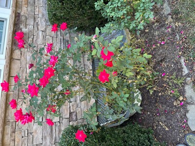 This Week’s Events In And Around Spotsylvania 