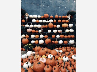 October Celebrations