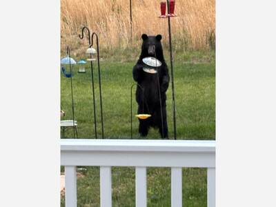 First Winner In The Spotsylvania Gazette Photo Contest 